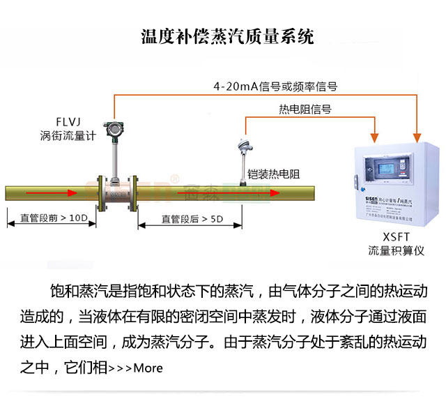 溫度補償蒸汽質(zhì)量計量系統